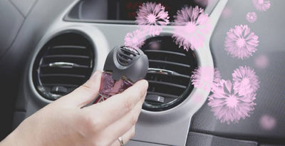 Car Air Fresheners
